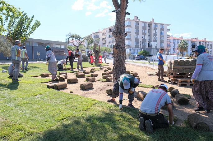 Ayvalık artık çok daha yeşil