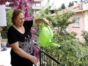 Balkon tarımında ilk fideler ürün verdi