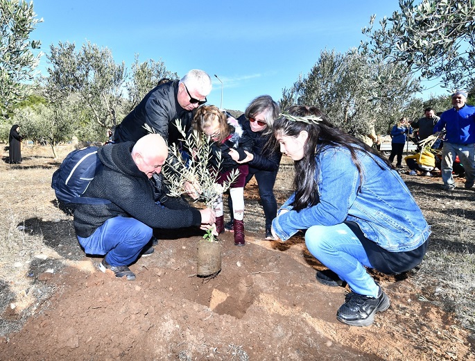 KÖSTEM'de Zeytin Çocuk Festivali coşkusu