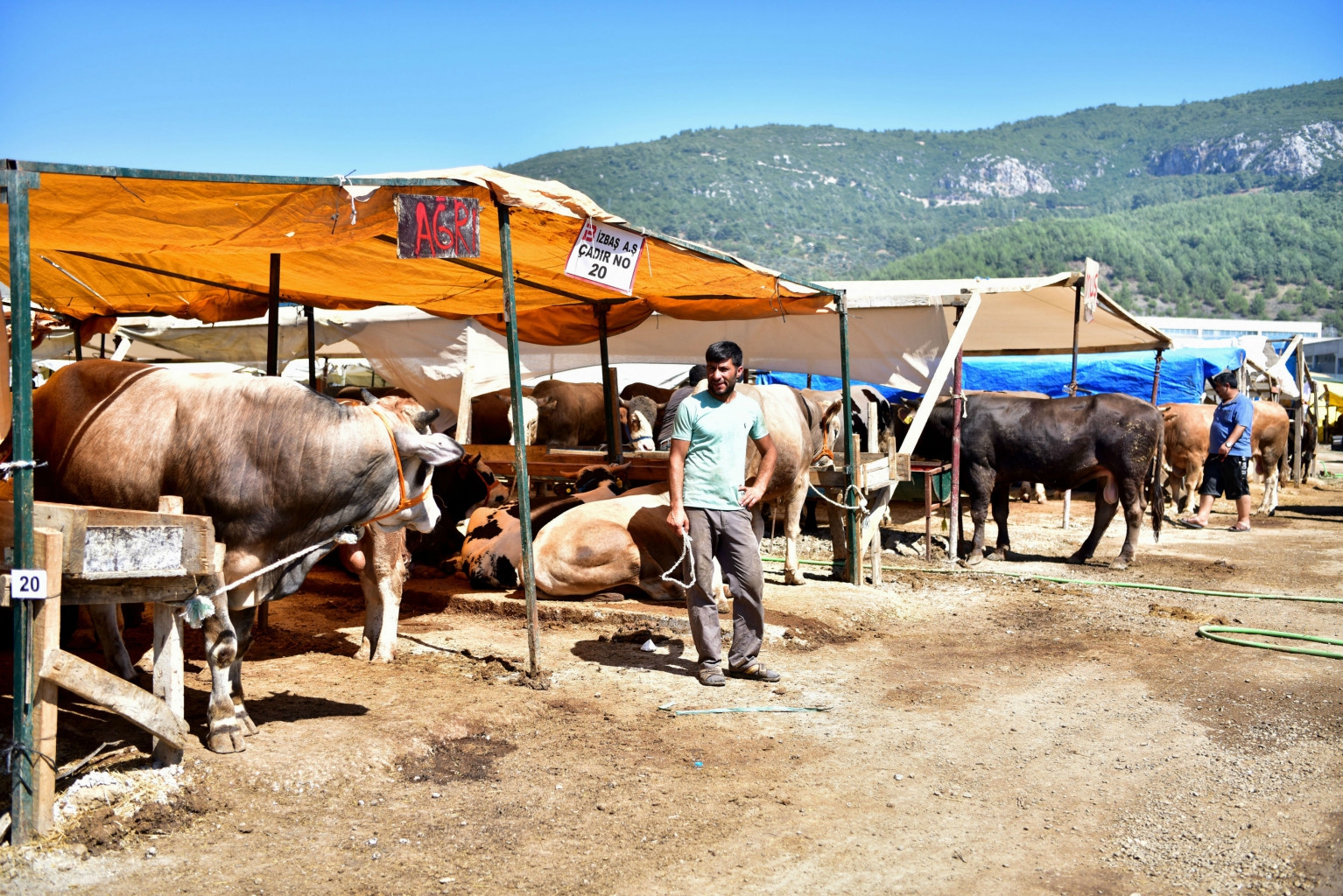 Bornova’da Kurban satış yerleri hazır