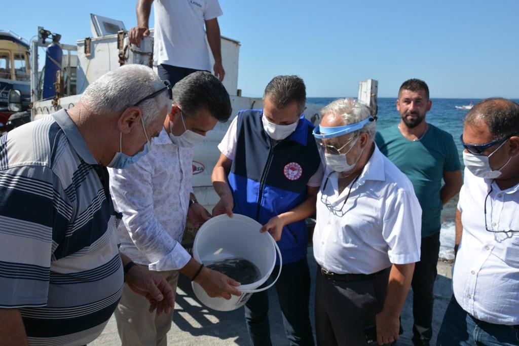 ​​​​​​​Dikili’de Yavru Balıklar Denizle Buluştu