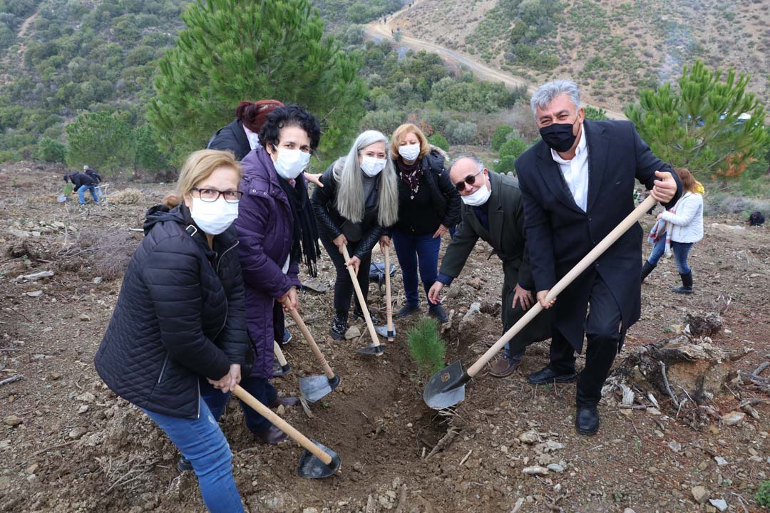 Güzelbahçe’de 500 Fıstık Çamı Toprakla Buluştu