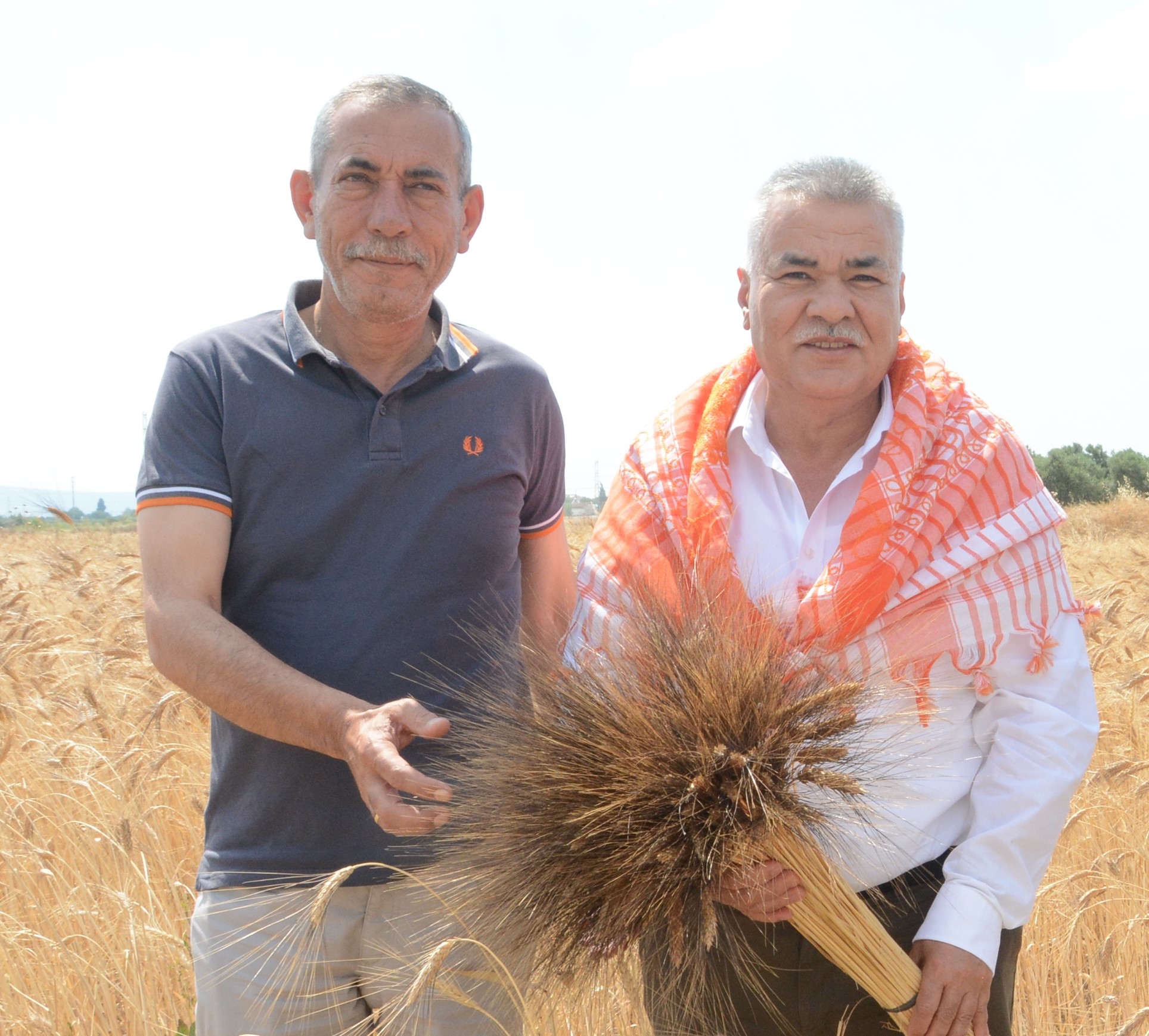 Torbalı Belediyesi buğday hasadını tamamladı