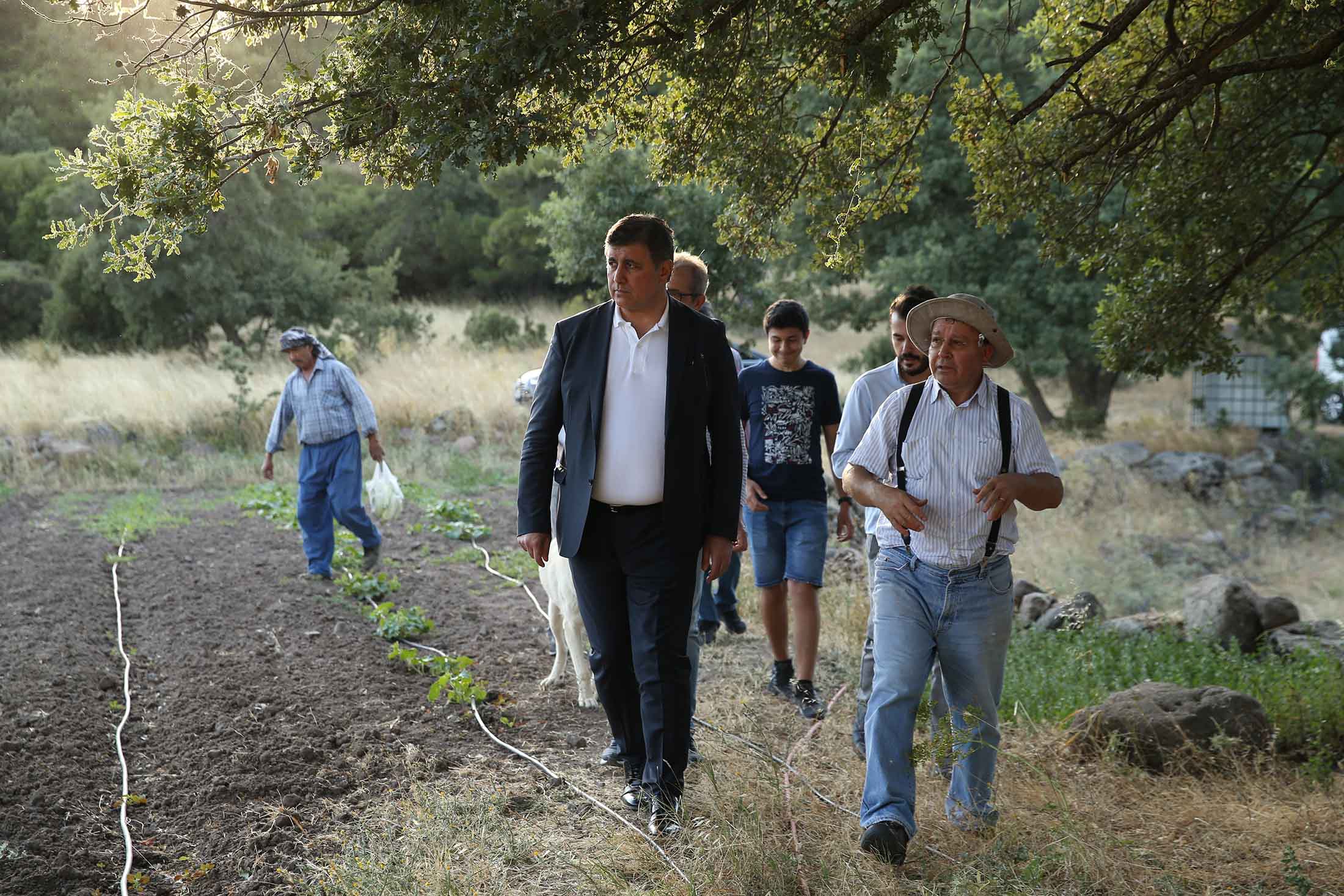 Yamanlar Domatesi tezgahlara dönüyor 