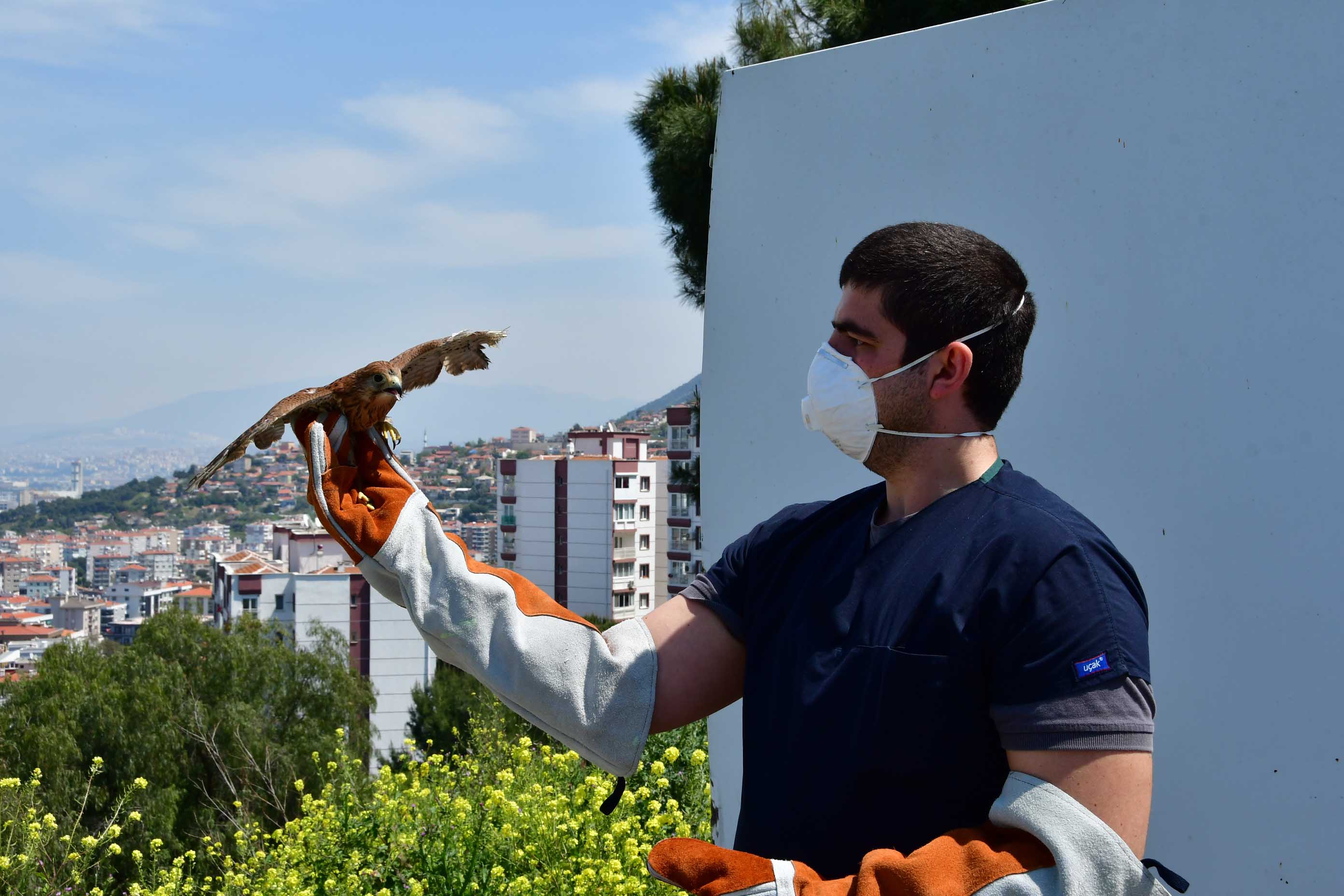 Yaralı atmaca Narlıdere'de tedavi edildi